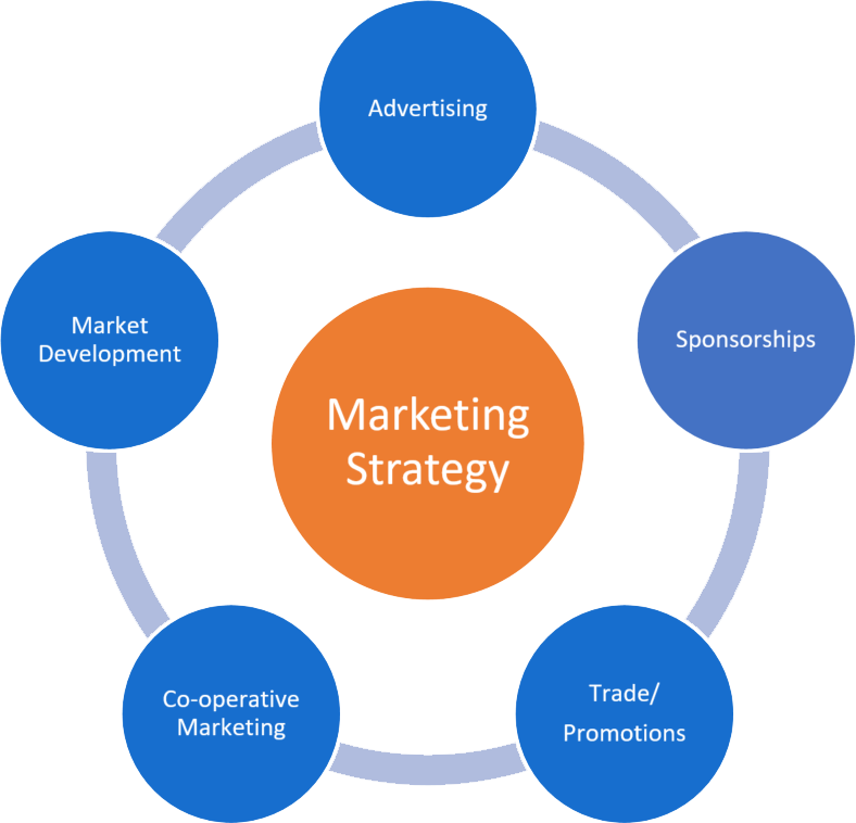 Marketing Strategy - Embark Aviation